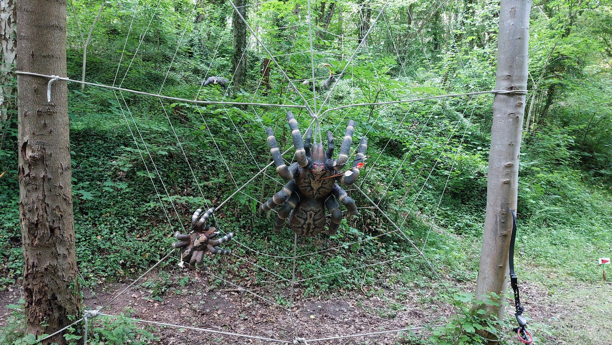 3D-Hasselfelde-2025_01.jpg